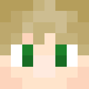 Minecraft-Avatar von Fryfy